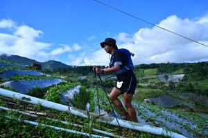 BIB: 8370
                            <button type="button" onclick="openModal(13380188)" class="btn btn-primary btn-sm float-right btn-popup" data-toggle="modal" data-target=".modal-high-quality">
                        <i class="fas fa-shopping-cart"></i> Add to Cart
                    </button>
                                            <button type="button" onclick="isThisMe(13380188, true)" class="btn btn-success btn-sm float-right btn-popup btn-isme hidden" data-toggle="tooltip" data-placement="bottom" title="นี่คือรูปของคุณใช่ไหม คลิกที่นี่เพื่อเอาเข้าอัลบั้ม">
                        <i class="fas fa-plus"></i> Add to album
                    </button>
                    <button type="button" onclick="isThisMe(13380188, false)" class="btn btn-warning btn-sm float-right btn-popup btn-isnotme hidden">
                        <i class="fas fa-ban"></i> Remove from album
                    </button>